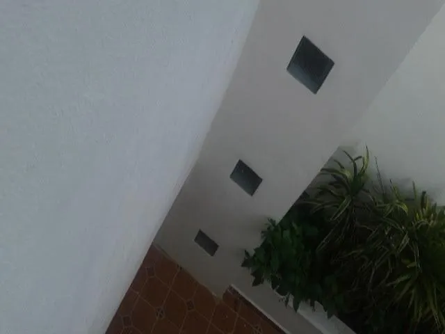 Apartamento Departamentos Villas Capdeviel Cancún